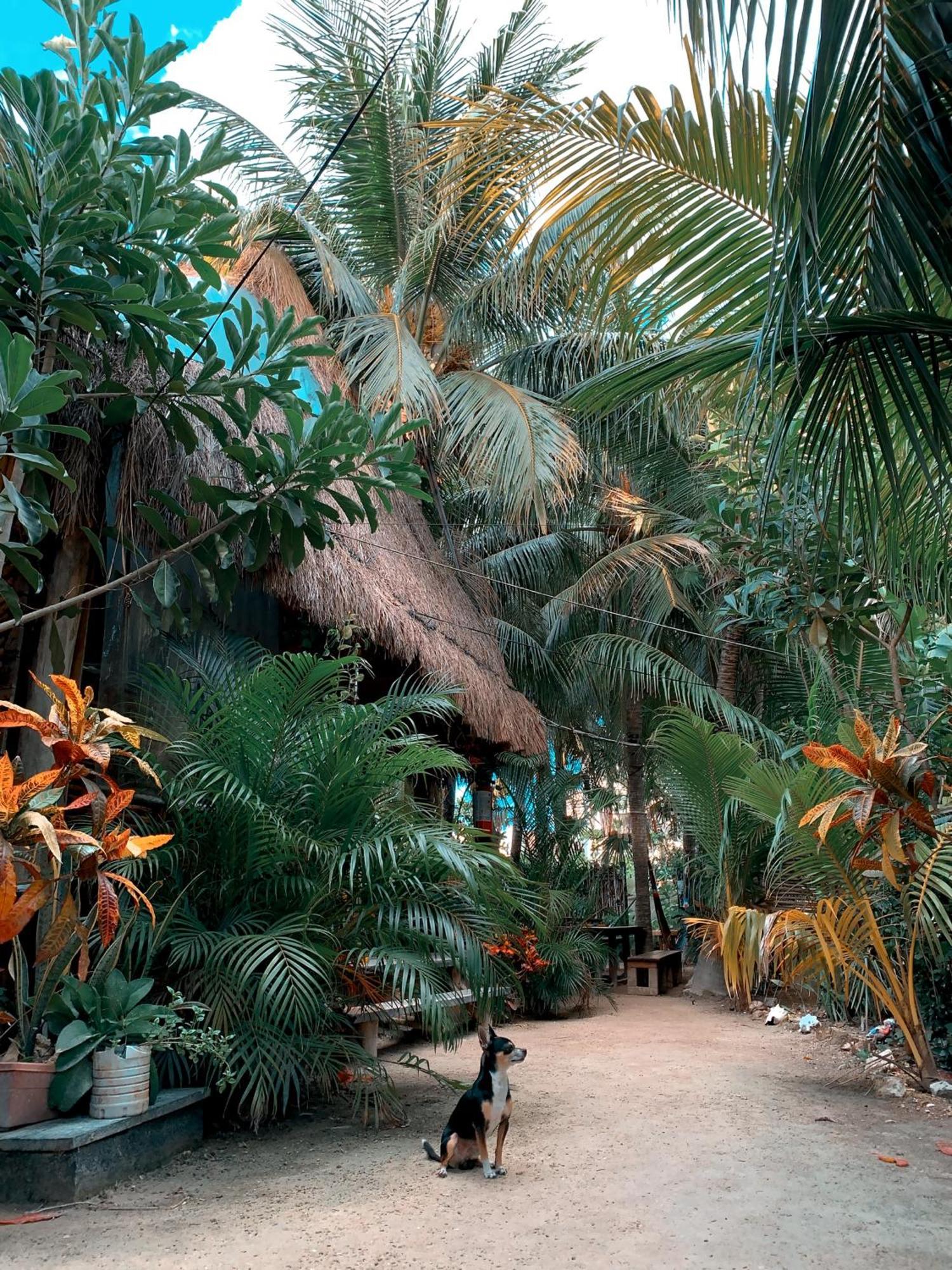 Kin Hostal And Camping Isla Holbox Exterior foto